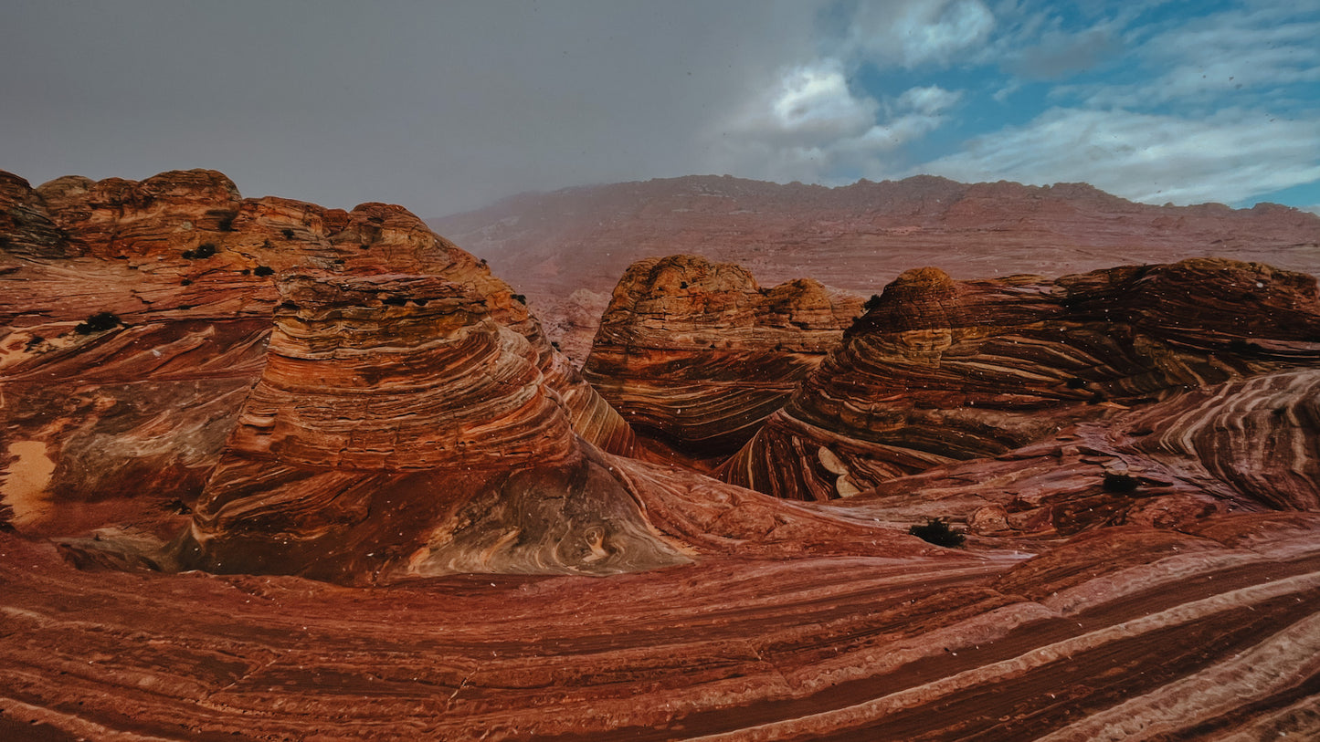 Guided Trail Ride - Hurricane, Utah